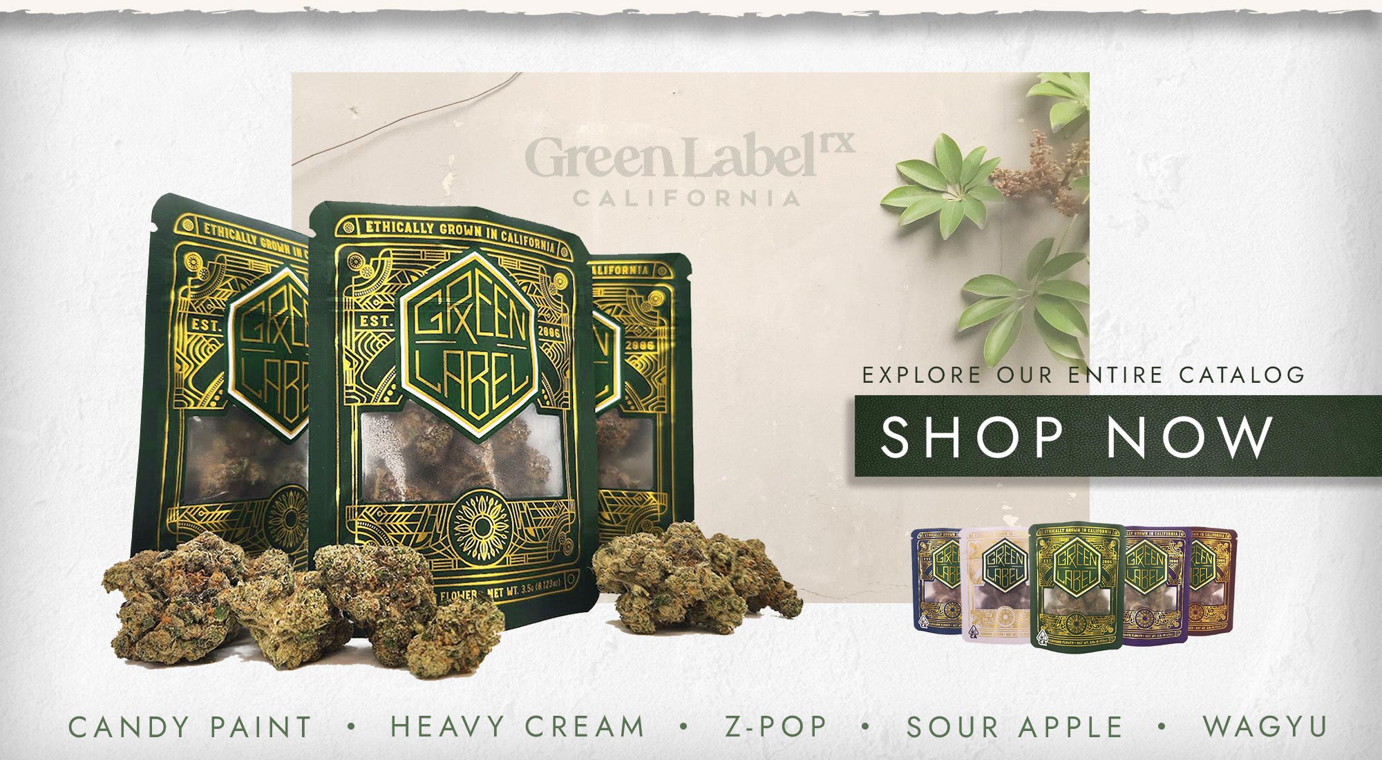 Shop Now
